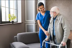 Domestic Help Services